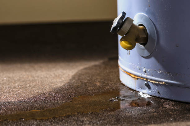 Best Flood restoration services  in Iva, SC