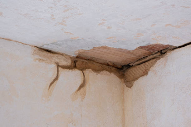 Best Ceiling water damage repair  in Iva, SC