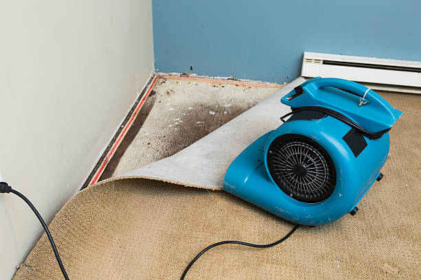 Best Carpet water damage restoration  in Iva, SC