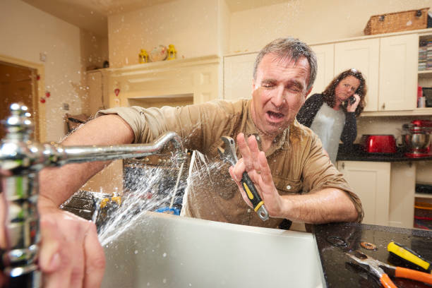 Best Basement water damage restoration  in Iva, SC
